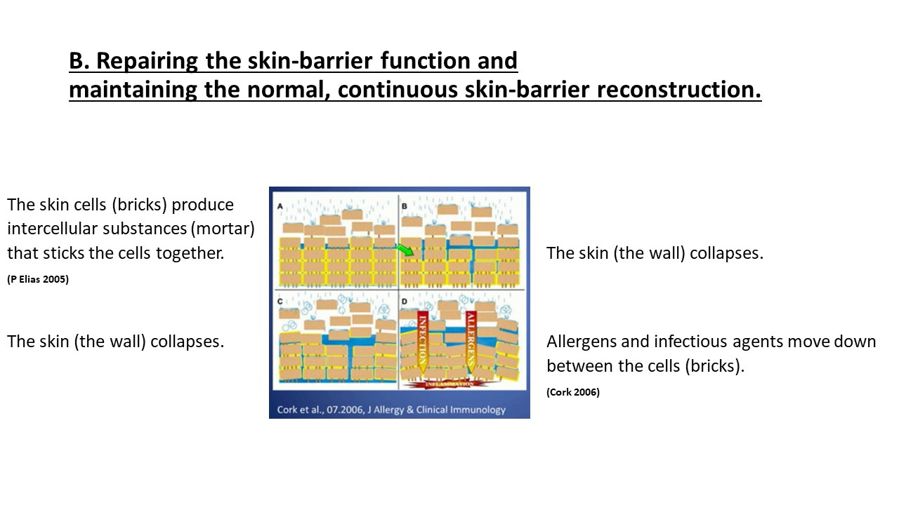 Pruritic_Dog_Webinar_Slide_50.jpg